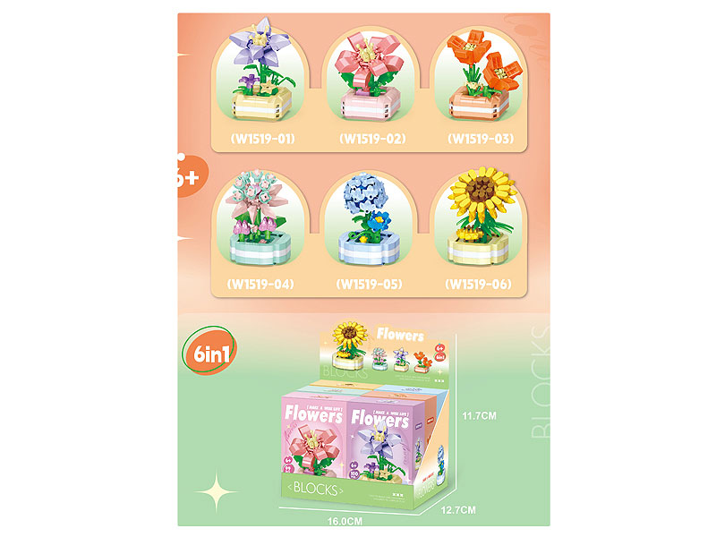 Blocks(6in1) toys