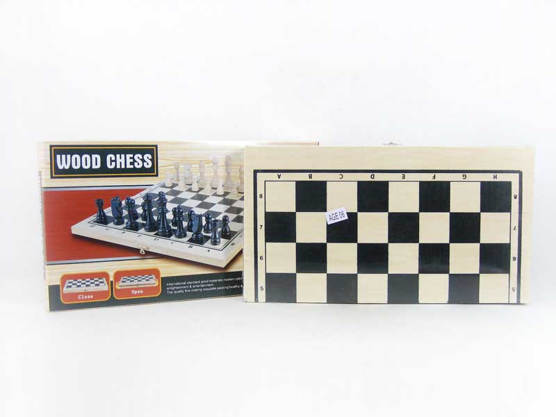 2in1 International Chin Chess toys