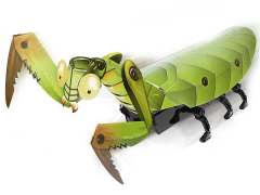 Crawling Mantis