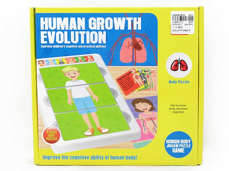 Human Evolution toys