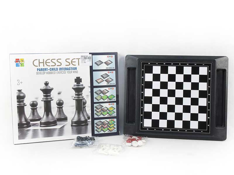 2in1 Chess toys