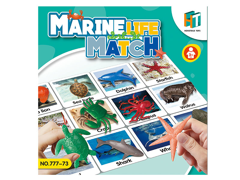 Match Marine Life toys