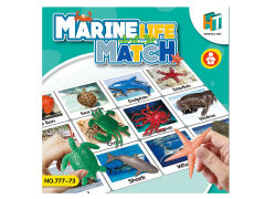 Match Marine Life