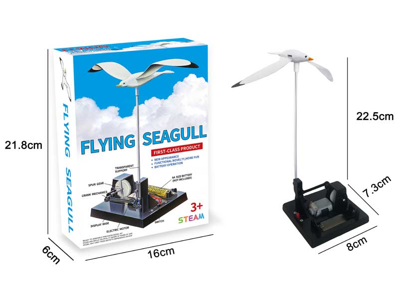 Flying Seagull Experiment toys