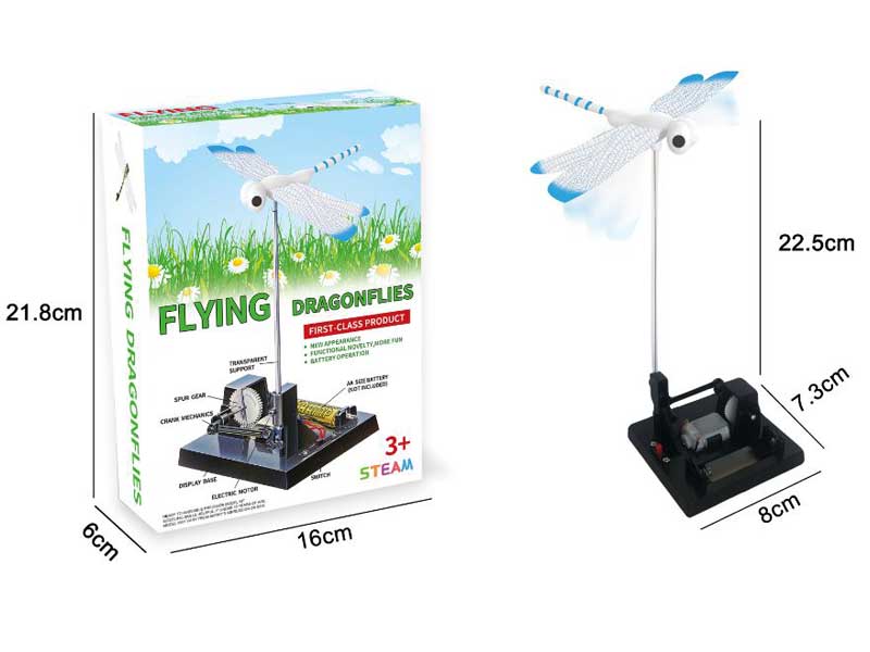 Flying Dragonfly Experiment toys