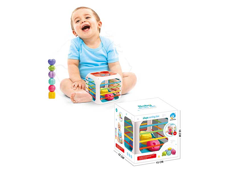 Shape Sorting Box toys