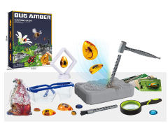 Archaeological Amber Set