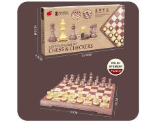 2in1 Magnetic Chess