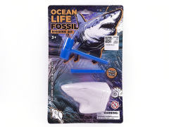 Excavating Marine Fossils toys