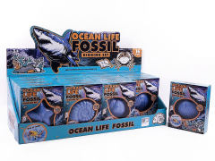 Excavating Marine Fossils(16in1) toys