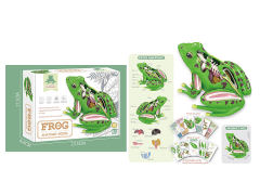 Frog Model toys