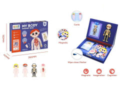 My Body Magnet Box toys