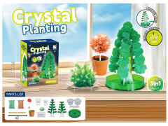 3合1水晶种植