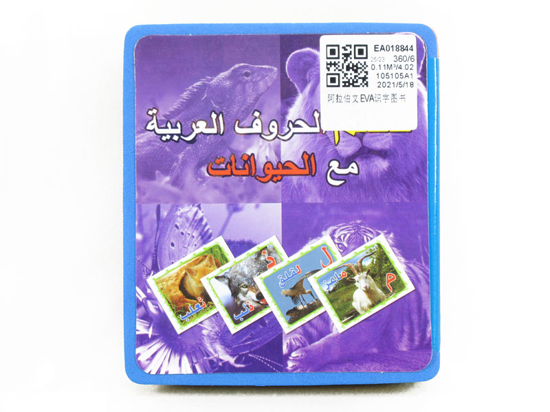 Arabic EVA Literacy Books toys