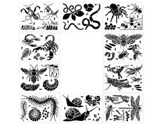 Insect Painting Template toys