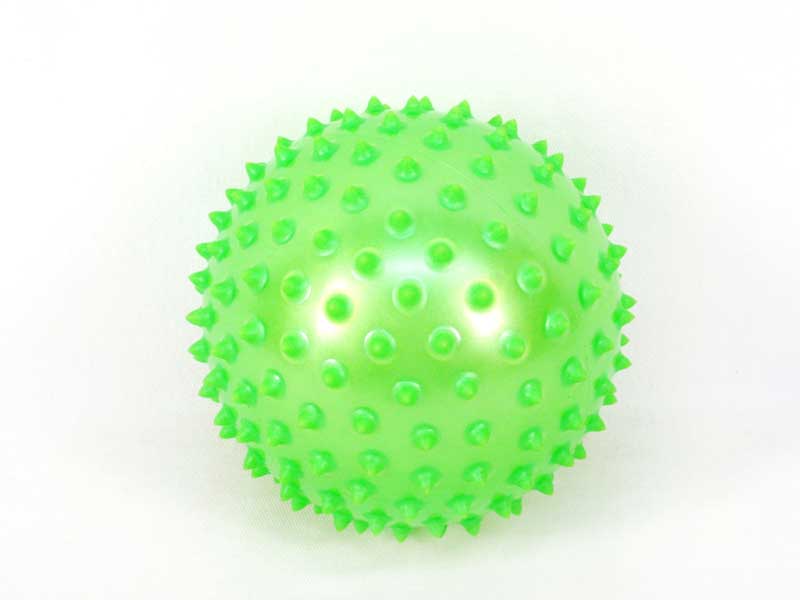 5" Massage Ball toys