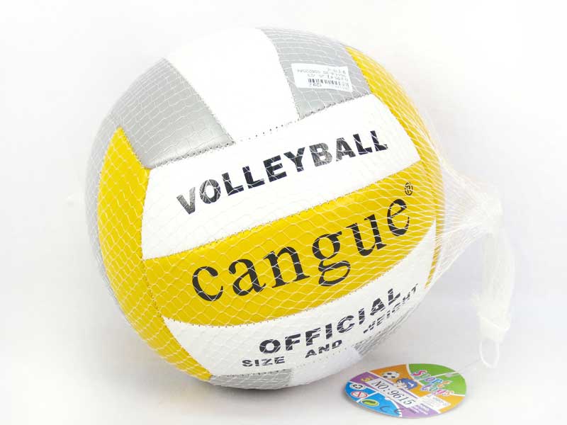 9＂Volleyball toys