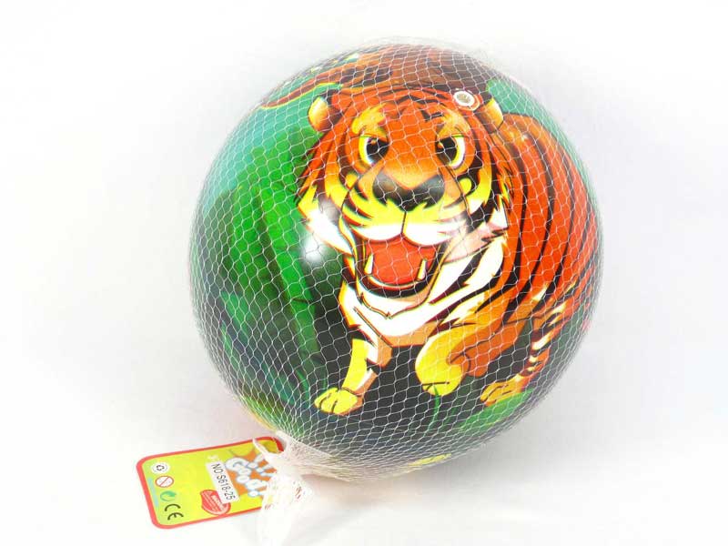 10"Ball toys