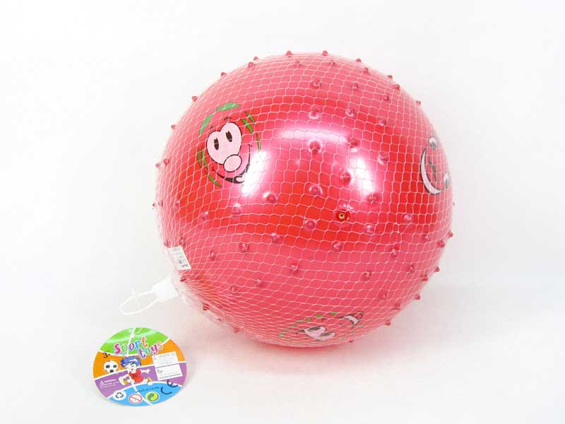 Massage Ball(6C) toys