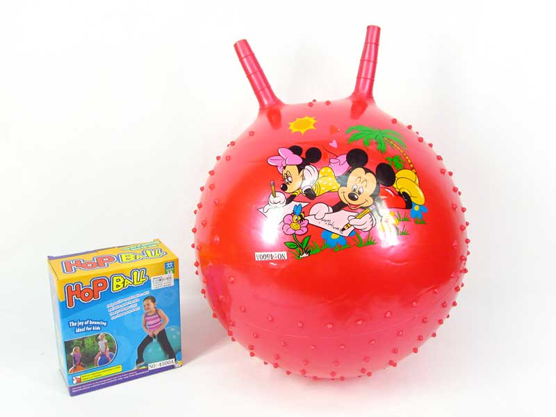 45CM Massage Ball toys