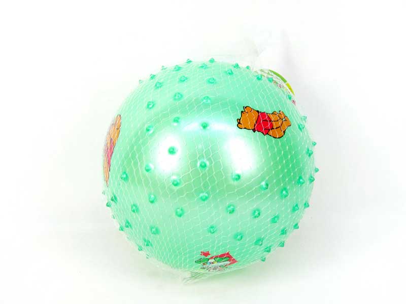 9inch Massage Ball toys