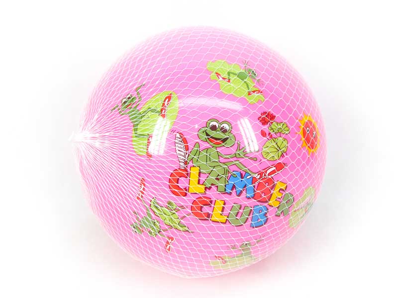 9inch Ball toys