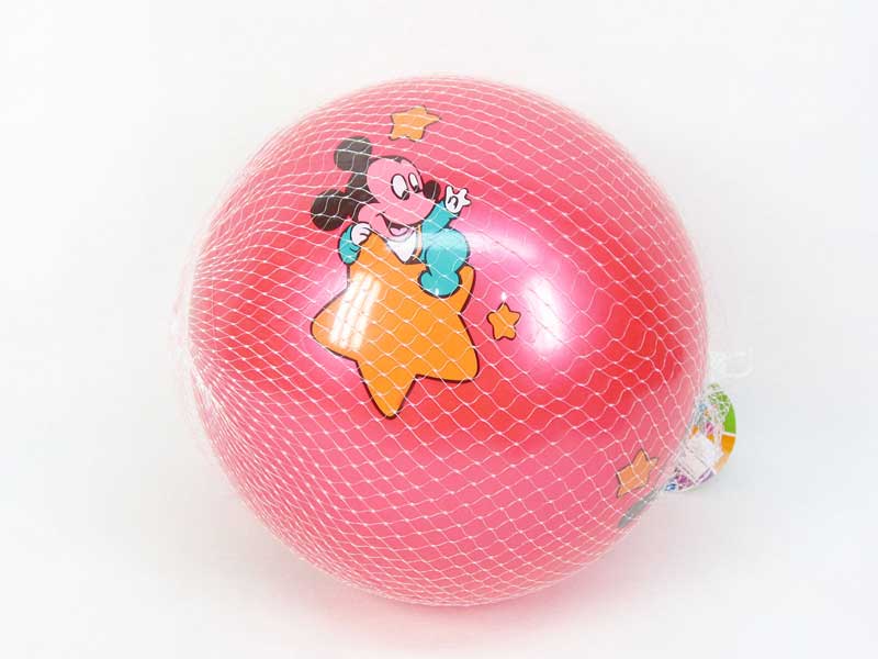 10inch Ball toys