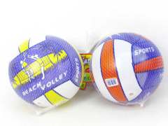 9inch Volleyball(2C)