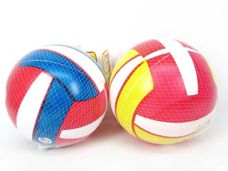 9inch Volleyball(2C) toys