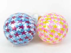 9inch Star Ball(2C) toys