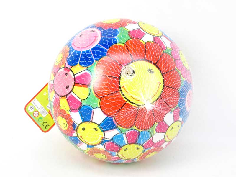 9inch Ball toys