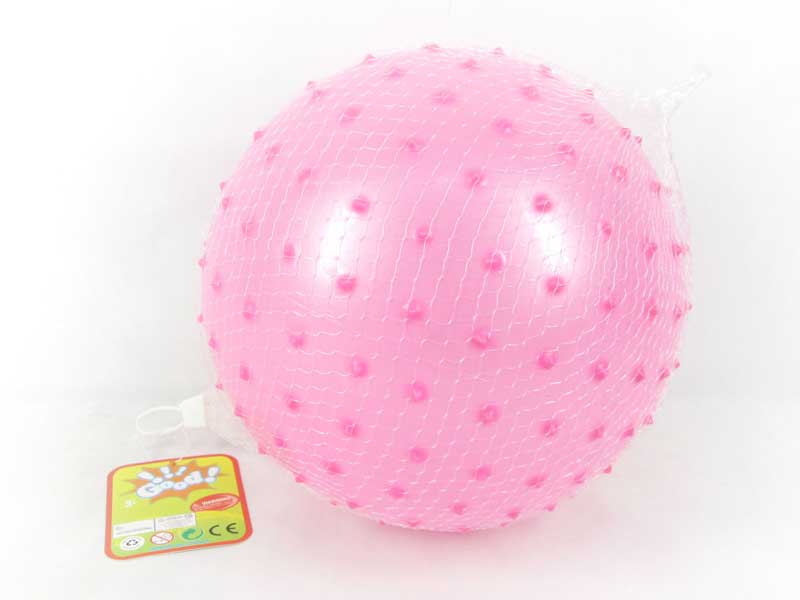 10inch Massage Ball toys