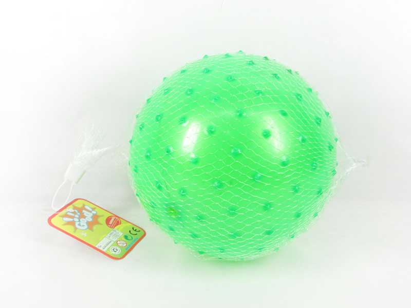 9inch Massage Ball toys