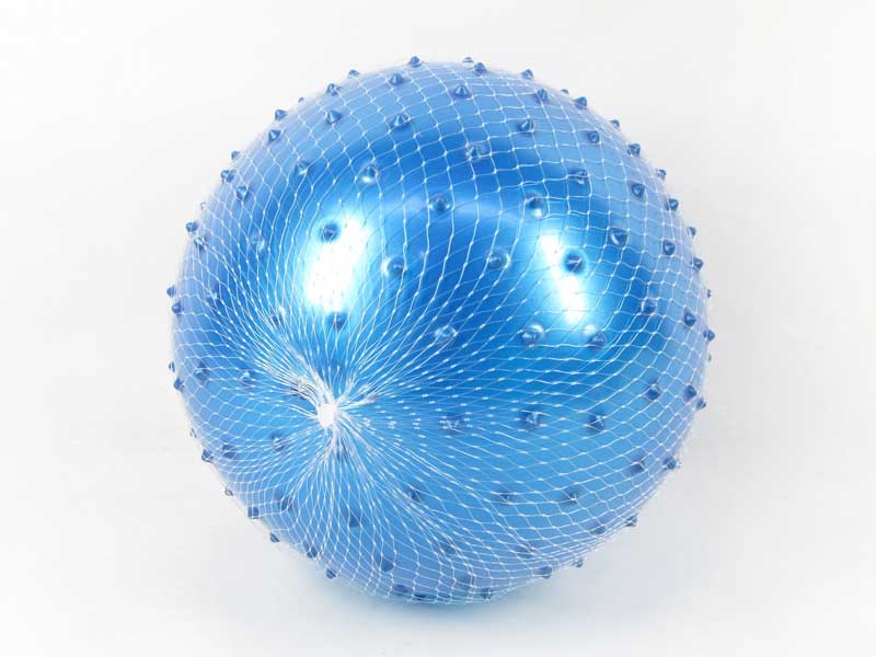 9inch Massage Ball toys