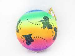 9inch Rainbow Ball