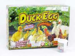 Swell Chicken And Duck Egg(24in1)