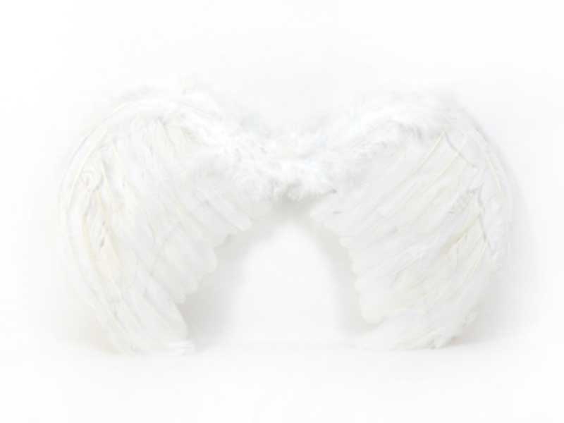 Feather Plumage toys
