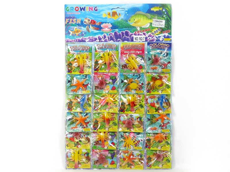 Colored Growing(24in1) toys