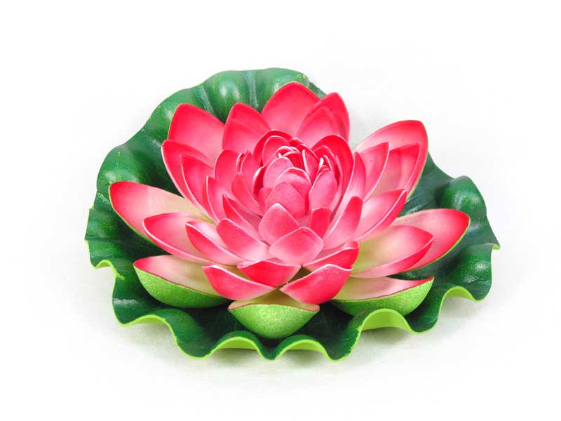 Lotus Flower toys