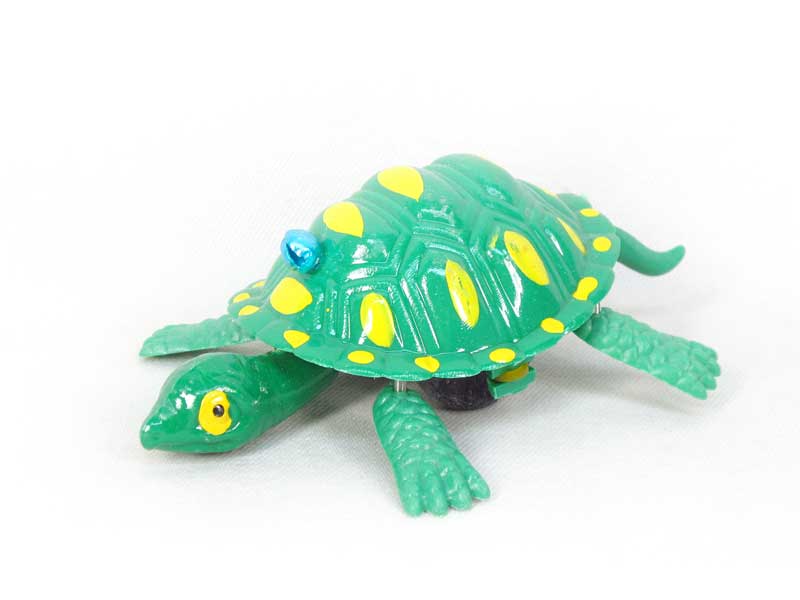 Tortoise toys