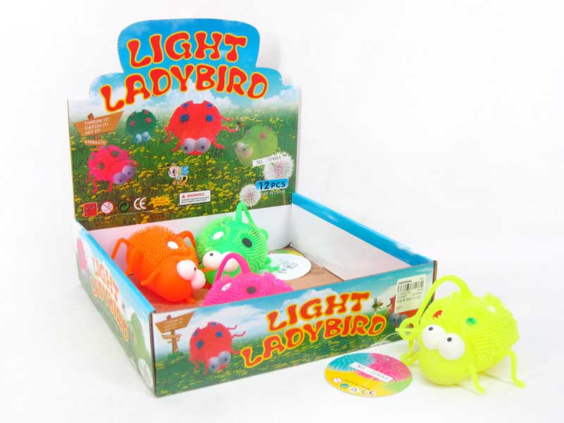 Beetle W/L(12in1) toys