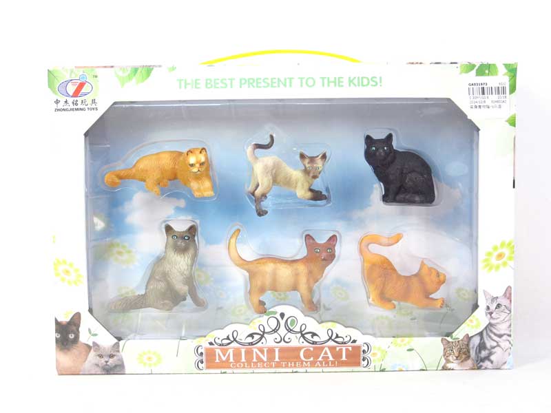 Cat(6in1) toys
