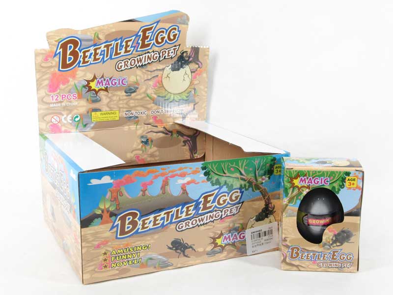 Swell Beetle Egg(12pcs) toys