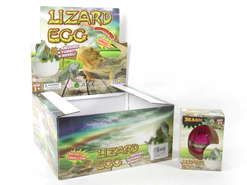 Swell Lizard Egg(12pcs) toys