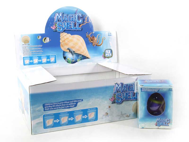 Conch(12in1) toys