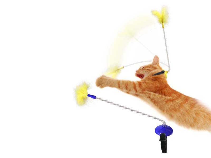 Cat Teaser Stick toys
