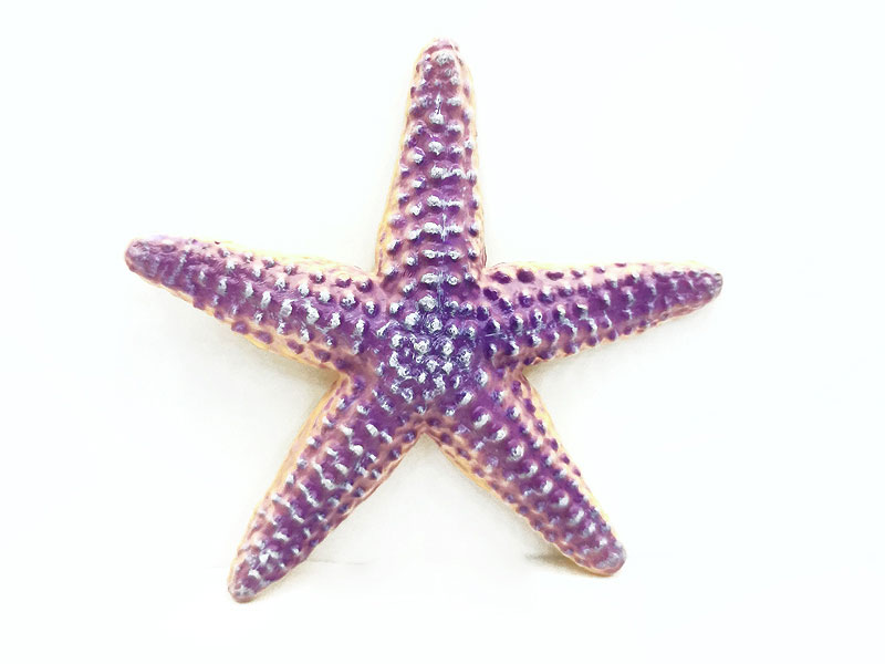 Starfish toys