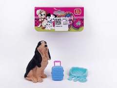 Pet Dog & Pull box(12in1)