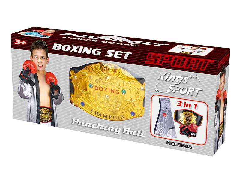 3in1 Boxing Set toys