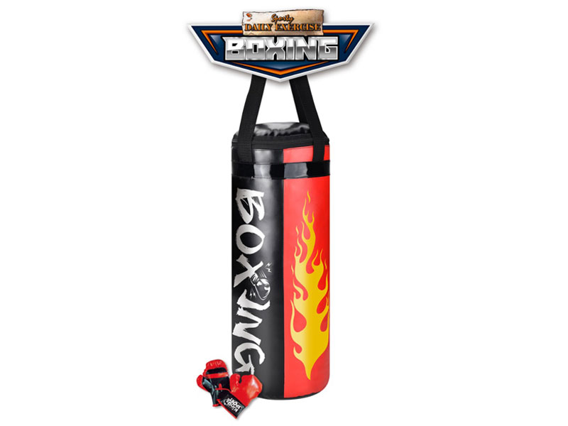 Boxing & Glove Set toys